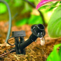 a drip irrigation line watering a perennial plant bed